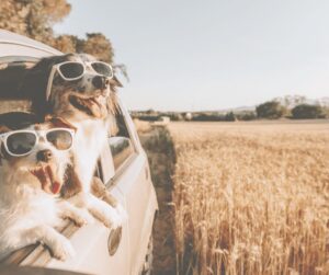 Businessplan und Finanzplan easy in der Selbständigkeit