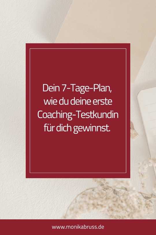 Coaching-Testkundin gewinnen